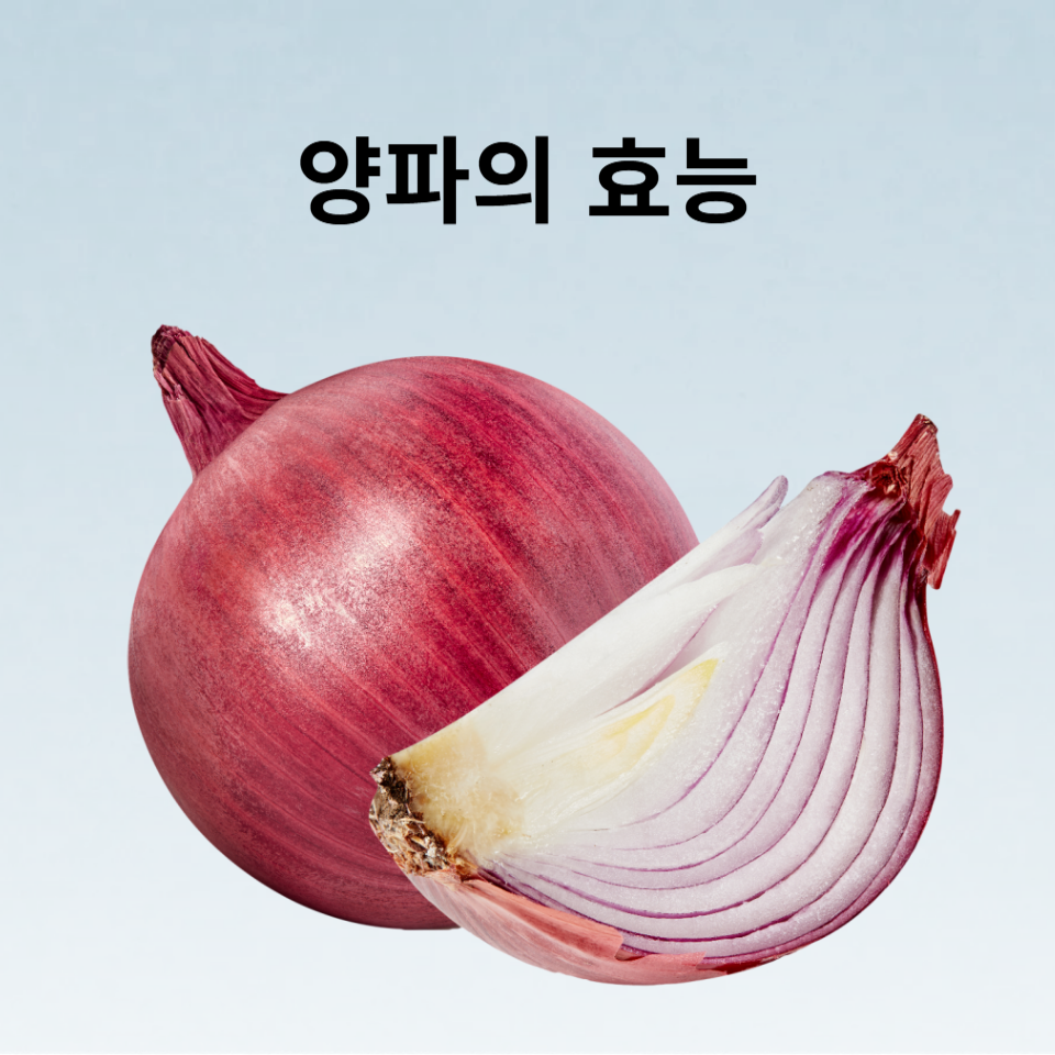 양파의 효능 5가지를 살펴봅시다(효능, 레시피)